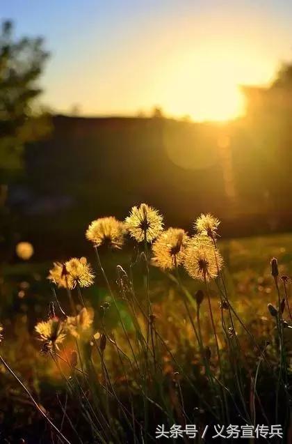 暖心的短句唯美，让对方看到暖心的句子（平淡却温暖的短句）