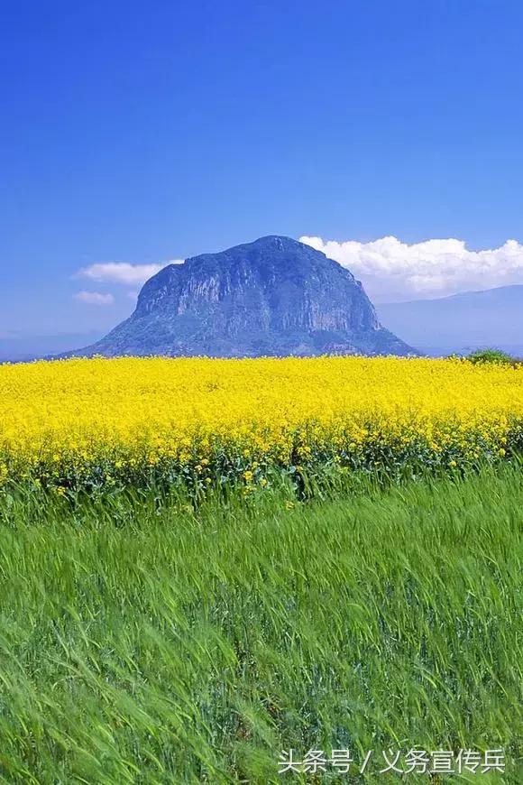 暖心的短句唯美，让对方看到暖心的句子（平淡却温暖的短句）