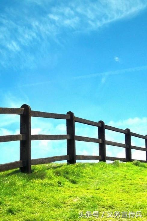 暖心的短句唯美，让对方看到暖心的句子（平淡却温暖的短句）