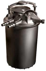 自制庭院小鱼池，手把手教你建室外鱼池