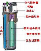 自制庭院小鱼池，手把手教你建室外鱼池