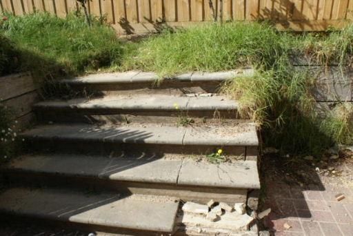 自制庭院小鱼池，手把手教你建室外鱼池