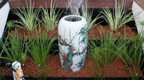 自制庭院小鱼池，手把手教你建室外鱼池