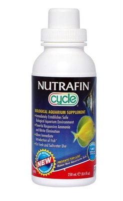 自制庭院小鱼池，手把手教你建室外鱼池