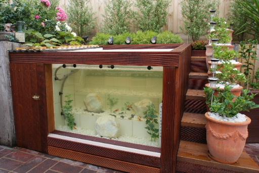 自制庭院小鱼池，手把手教你建室外鱼池