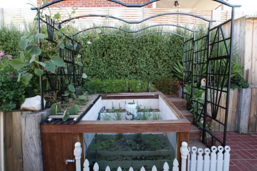 自制庭院小鱼池，手把手教你建室外鱼池