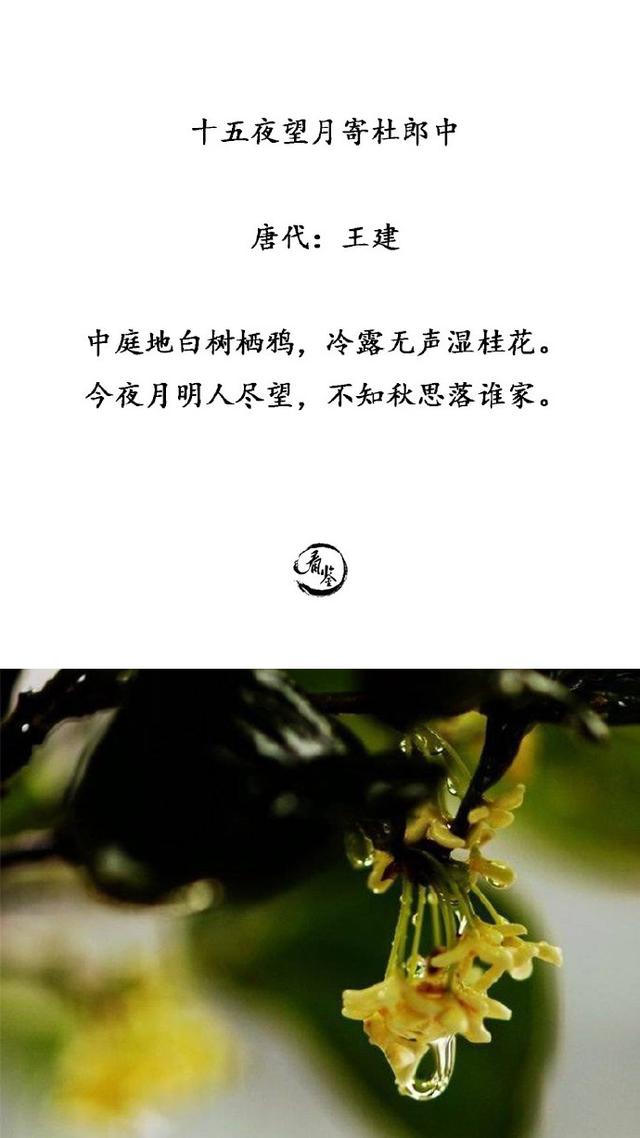 桂花飘香的诗句图片