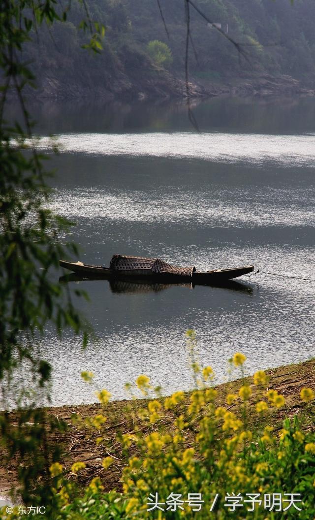 江畔独步寻花其二，江畔独步寻花其二古诗（小升初古诗《江畔独步寻花》）