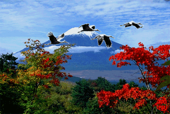 二十四节气寒露节气给客户的祝福短信，大寒节气祝福短信（今日寒露，祝福送给每一位朋友）