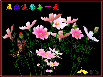 二十四节气寒露节气给客户的祝福短信，大寒节气祝福短信（今日寒露，祝福送给每一位朋友）