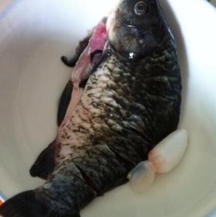 圖片[2]-【番茄鯽魚(yú)豆腐湯】做法步驟圖 湯濃味美 大人小孩都愛(ài)喝-起舞食譜網(wǎng)