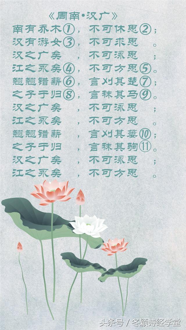 周末读《诗经》：冬颖老师朗读《周南·汉广》