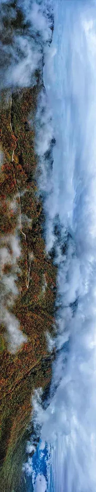 人间仙境满山红叶，原来是峨眉山的树叶红了……
