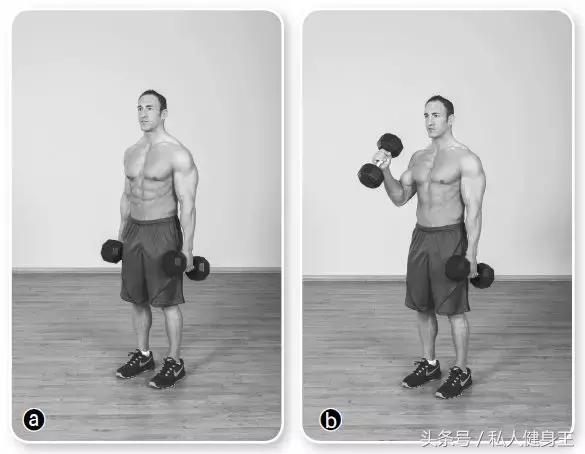 肱二头肌锻炼方法，徒手肱二头肌锻炼方法（教你增大肱二头肌的训练方法）