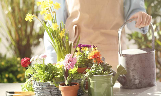 凉开水可以浇花吗，开水放冷了可以浇花吗（过期奶、温水、凉开水可以浇花吗）
