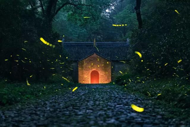 佳能60d功能键介绍，佳能60d按键功能（佳能80D/70D/60D等系列相机入门攻略）