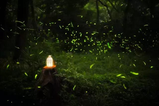 佳能60d功能键介绍，佳能60d按键功能（佳能80D/70D/60D等系列相机入门攻略）