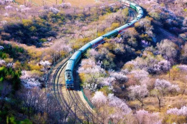 佳能60d功能键介绍，佳能60d按键功能（佳能80D/70D/60D等系列相机入门攻略）