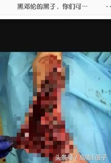 晋江兔区网友交流区，晋江兔区（邓伦和王凯的黑子们领了三倍工资）