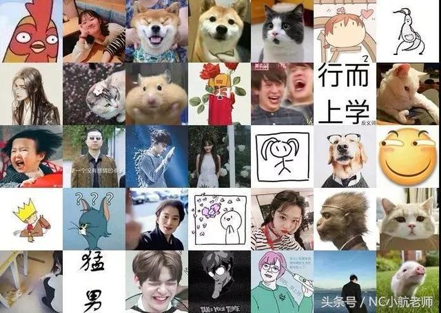 狗头，微信头像，狗头（如果当初换个头像）