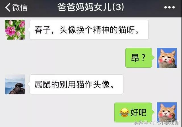 狗头，微信头像，狗头（如果当初换个头像）