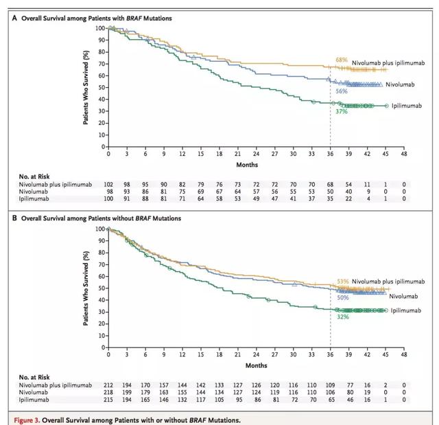 Dummer. ゛浅时光网名，Dummer. ゛浅时光微信昵称（2018年诺贝尔生理或医学奖颁发给Allison和Honjo）
