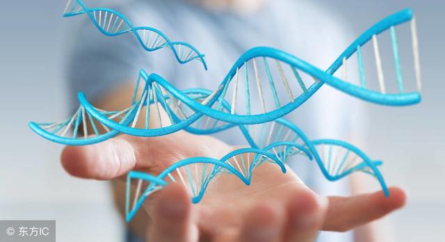 Dummer. ゛浅时光网名，Dummer. ゛浅时光微信昵称（2018年诺贝尔生理或医学奖颁发给Allison和Honjo）