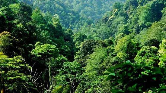 厦门周边自驾游，厦门周边自驾游全攻略（厦门周边这5大鲜为人知的仙境）