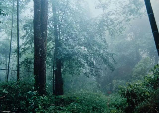 厦门周边自驾游，厦门周边自驾游全攻略（厦门周边这5大鲜为人知的仙境）