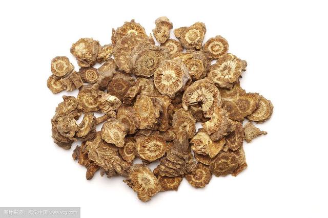 泄泻怎么读，呕吐什么，后面两个字怎么读（中药材羌活）