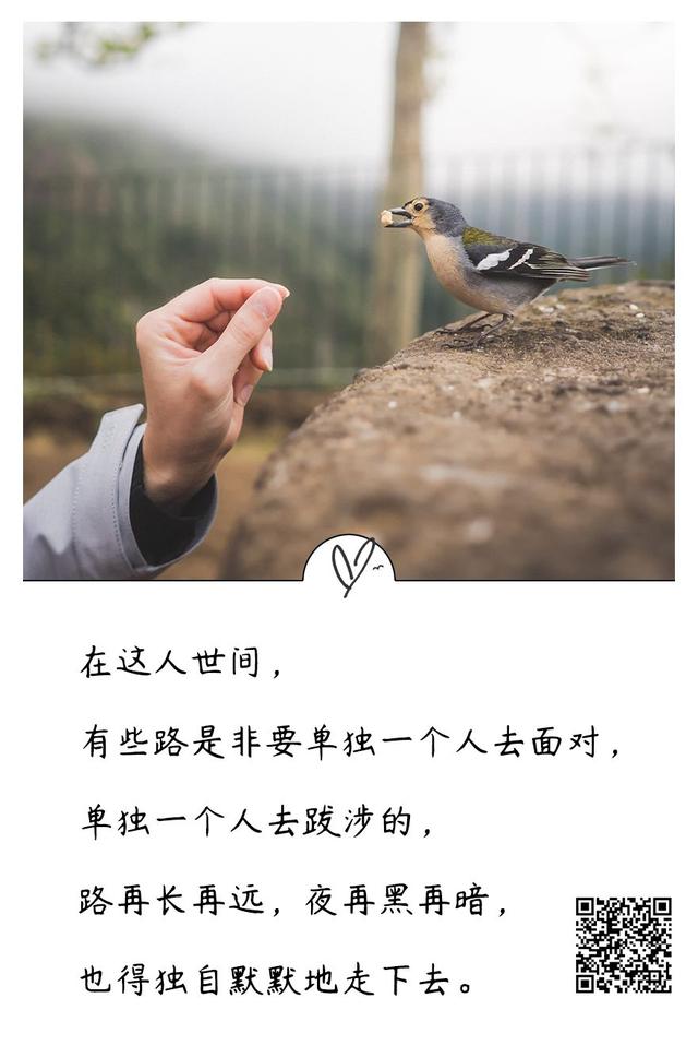 席慕蓉的经典语句，能影响你一生的9句话