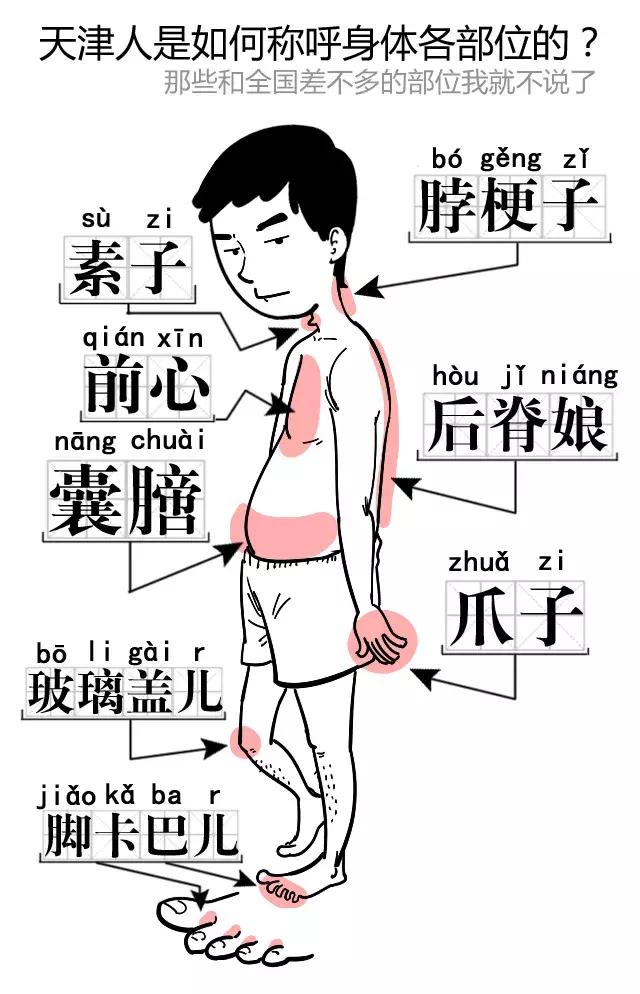 好嘛是什么意思，四川话好嘛是什么意思（这些天津话都嘛意思，你知道吗）