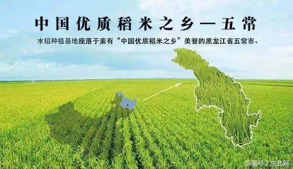 对于大米你可能知道的还不够多，生态大米多少钱一斤