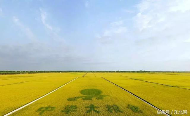 对于大米你可能知道的还不够多，生态大米多少钱一斤