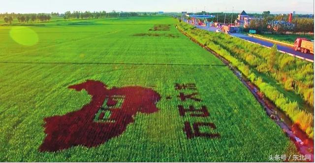 对于大米你可能知道的还不够多，生态大米多少钱一斤