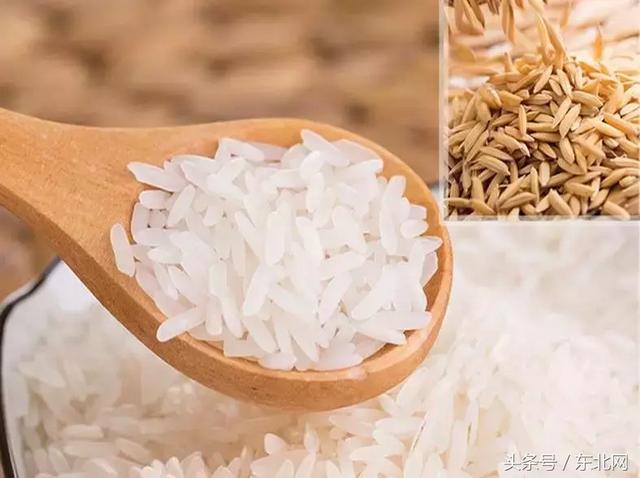 对于大米你可能知道的还不够多，生态大米多少钱一斤