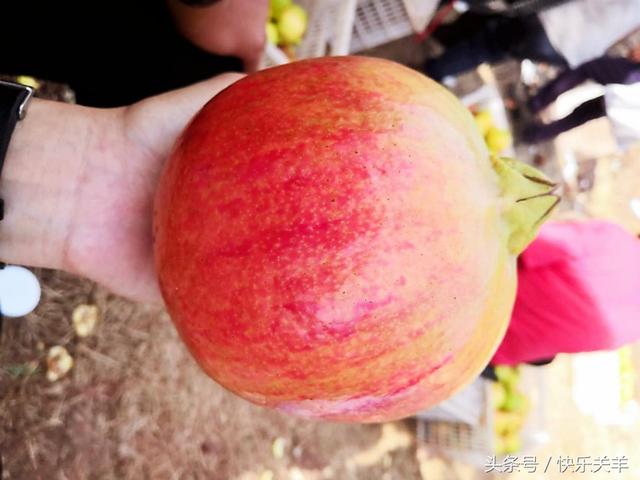 佛教二字禅语，佛家禅语及著作（人生最难得的是“心安”二字）