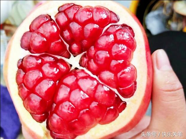 佛教二字禅语，佛家禅语及著作（人生最难得的是“心安”二字）