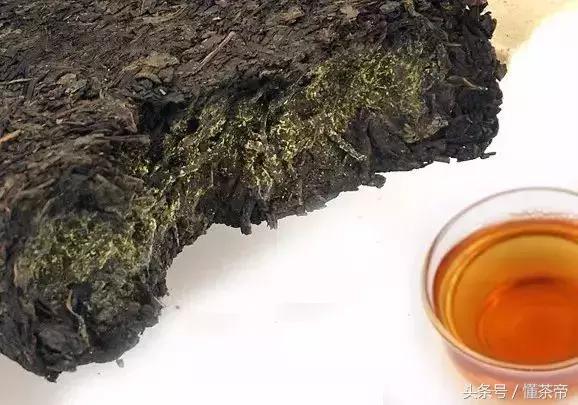 老茶梗是什么茶，老茶梗是什么茶树（还是没有茶梗的茶好呢）