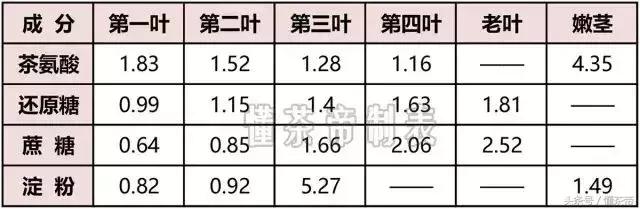 老茶梗是什么茶，老茶梗是什么茶树（还是没有茶梗的茶好呢）