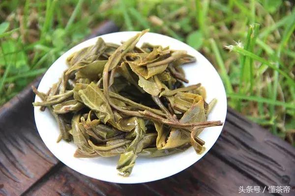 老茶梗是什么茶，老茶梗是什么茶树（还是没有茶梗的茶好呢）