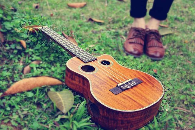 哪些乐器简单好学，自学哪种乐器最简单（学起来非常方便又很常见）