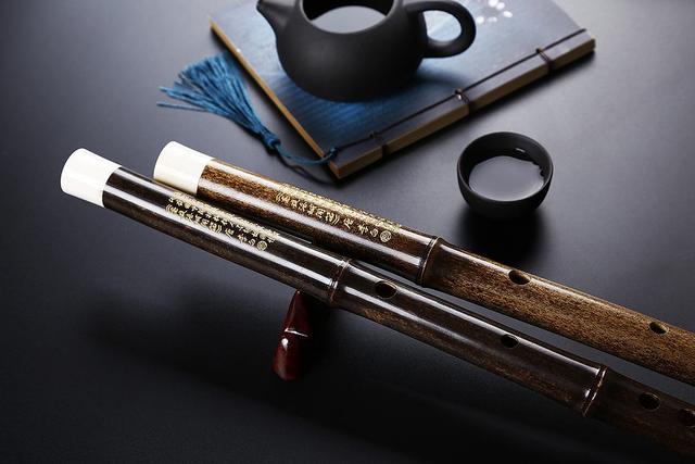 哪些乐器简单好学，自学哪种乐器最简单（学起来非常方便又很常见）