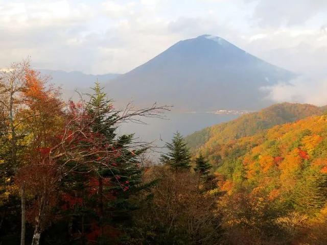 日本有哪些地方看枫叶最好，日本有哪些地方看枫叶最好看（今年日本赏红叶就去这10个地方）