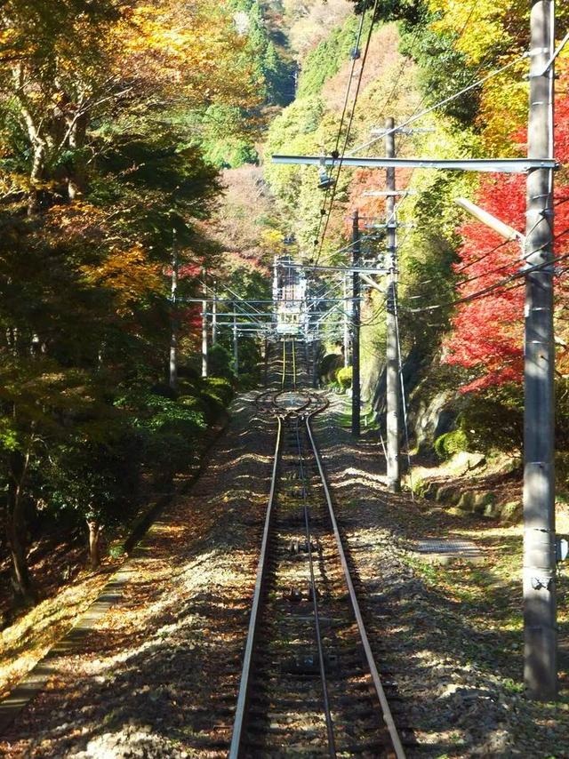 日本有哪些地方看枫叶最好，日本有哪些地方看枫叶最好看（今年日本赏红叶就去这10个地方）