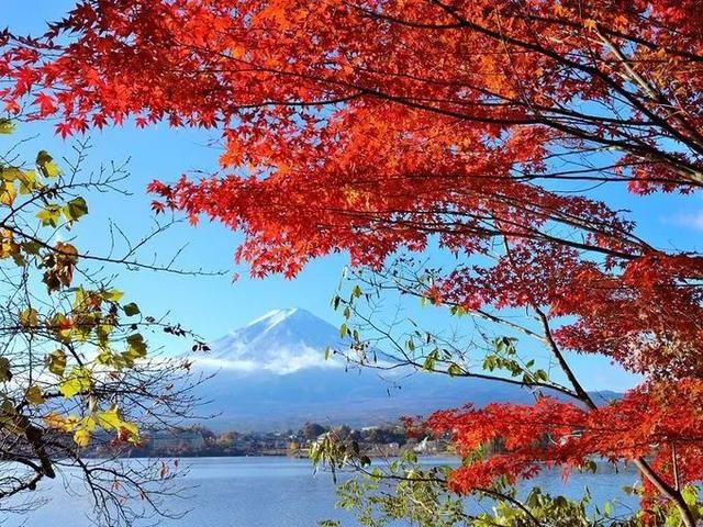 日本有哪些地方看枫叶最好，日本有哪些地方看枫叶最好看（今年日本赏红叶就去这10个地方）