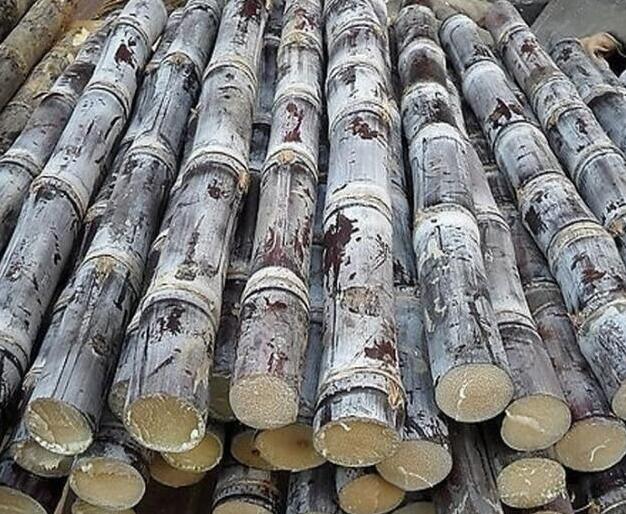 图片[2]-减肥中的女性 这六种水果一定不要多吃 热量太高-起舞食谱网