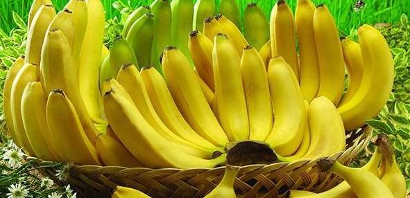 图片[5]-减肥中的女性 这六种水果一定不要多吃 热量太高-起舞食谱网