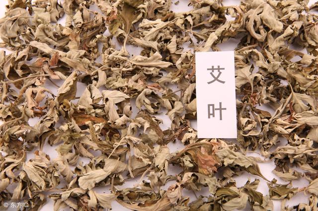 艾叶水的功效与作用，喝艾叶水的功效与作用（很多人却当垃圾扔了）