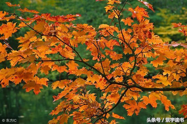 李白全部诗句及译文，诗仙李白经典诗词60首